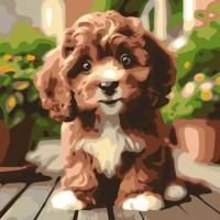 Картина за номерами Мальтіпу 30х30 см Art Story AS2097