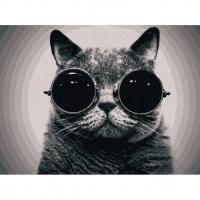 Картина за номерами Кіт Морфеус 40х50 см Art Craft 11607-AC