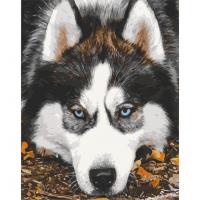 Картина по номерах Хаскі 40х50 см Art Craft 11509-AC