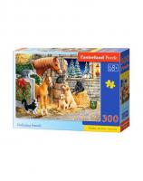 Пазли Зустріч друзів (300 елементів) Castorland В-030255