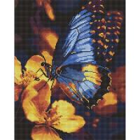 Алмазна мозаїка "Мерехтіння крил" AMO8287, 40х50 см