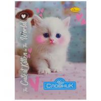 Зошит-словник з іноземної мови "The Cutest Kitten in the world" АП-0502-8 В5 на скобі