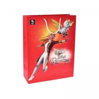 Пакет паперовий L Тара Данкан р.31x42x12 см qbee QB004-206