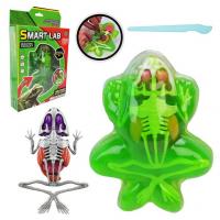 Дитячий лабораторнний набір Жаба 801B, скелет, внутрішні органи