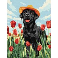 Картина по номерах Чарівний лабрадор 30х40  см Ідейка KHO6621