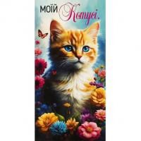 Конверт вітальний (для грошей) 16.5х9х0,5 см FIESTA КВ 24-110