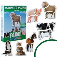 Набір магнітиків-пазлів Ферма Magdum ML4031-19 EN