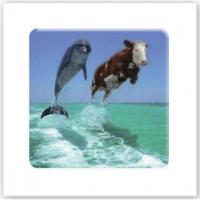 3D стікер Два дельфіни (ціна за 1 стікер) Tattooshka SX-218