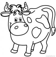 Розпис по полотну Весела Му Riviera Blanca КА-003