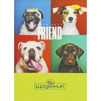 Щоденник шкільний Friend, мʼяка палітурка Апельсин АП-0103