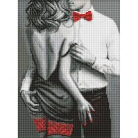 Алмазна мозаїка "Червоно-чорна пара" AMO20406, 30х40 см