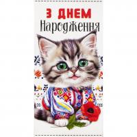 Конверт вітальний (для грошей) 16.5х9х0,5 см FIESTA КВ 24-65