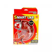 Набір для дослідів  Анатомія тварин, Ящірка MIC 803B