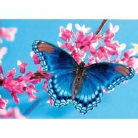 Алмазна мозаїка Крилатий гість, 30х40 см Strateg HEG87075