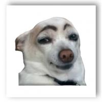 3D стікер Мем гламур (ціна за 1 стікер) Tattooshka SX-20