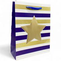 Пакет подарунковий (18х8,5х24 см.), вид 2 MIC C63258