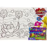 Картина по номерах дитяча Совина родина 21х31 см Dankotoys CBN-02-01,02,03,04...10