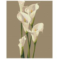 Картина за номерами Ніжність Riviera Blanca RB-0531