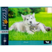 Пазли класичні (1000 елементів), Friends Dankotoys C1000-13-01,02,03,04...10