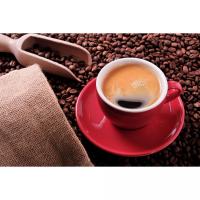 Алмазна мозаїка Кавове натхнення 30х40 см Strateg HEG87055