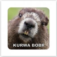 3D стікер Bobr (ціна за 1 стікер) Tattooshka SX-193