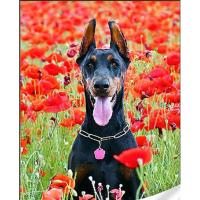 Алмазна мозаїка Чорний доберман, 30х40 см Strateg GM86851