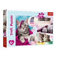 Пазли Котики, 160 елементів Trefl 15371