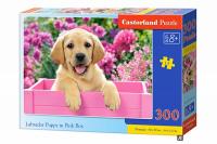 Пазли Щеня лабрадора (300 елементів) Castorland B-030071