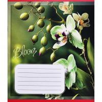 Зошит учнівський "Орхідеї" 018-530261K-2 в клітинку, 18 аркушів