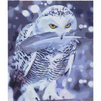 Картина за номерами Сова з Гоґвортсу 40х50 см Оптифрост 0642
