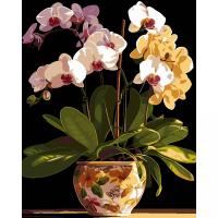 Картина по номерах на чорному фоні Вазон орхідей 40х50 см Strateg AH1198