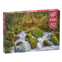 Пазли Річка у лісі, 1000 елементів Cherry Pazzi 30615