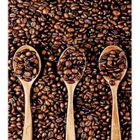 Картина по номерах Кава у кожній ложечці 30х40 см Strateg LY31