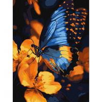 Картина за номерами "Мерехтіння крил" KHO6731, 30х40 см