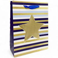 Пакет подарунковий (18х8,5х24 см.), вид 4 MIC C63258