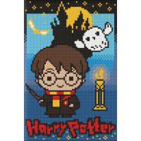 Алмазна мозаїка без підрамника "Harry Potter: Таємниці темного замку" WB AMC20504, 20х30 см
