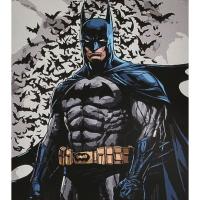 Картина по номерах Герой у накидці 40х50 см Strateg VA-4627