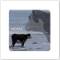 3D стікер Чому (ціна за 1 стікер) Tattooshka SX-215