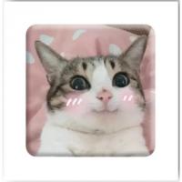 3D стікер Милий котик (ціна за 1 стікер) Tattooshka SX-25