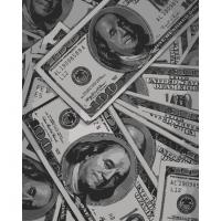 Картина за номерами Money 40х50 см Art Craft 12024-AC