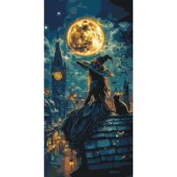 Картина за номерами з фарбами металік Юна відьма 40*80 см Origami LW5130