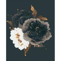 Картина по номерах Чорний оксамит 40х50 см Riviera Blanca RB-0600