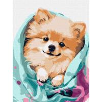 Картина за номерами Щасливий шпіц 30х40 см  Ідейка KHO6545
