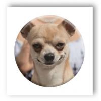 3D стікер Мем усмішка (ціна за 1 стікер) Tattooshka SX-19