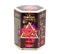 Набір для проведення дослідів Growing Crystal (укр) Dankotoys GRK-01-03U