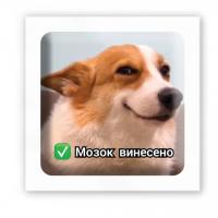 3D стікер Мозок винесено (ціна за 1 шт) Tattooshka SX-141