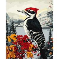 Картина за номерами Дятел на гілці 40х50 см Ідейка KHO6777