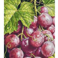 Алмазна мозаїка Грона багатства 30х40 см Strateg HEG87076