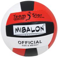 Мʼяч волейбольний Mibalon official (вид 3) MIC BT-VB-0081