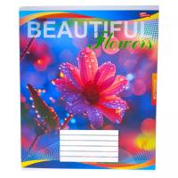 Зошит кольоровий 48 аркушів, клітинка (16 штук в упаковці) Мрії Збуваються 3813